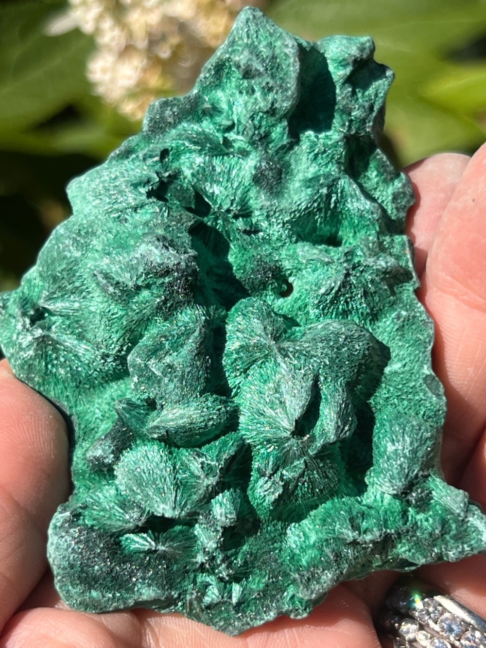 Malachite (11) specimen with stand | Crystal